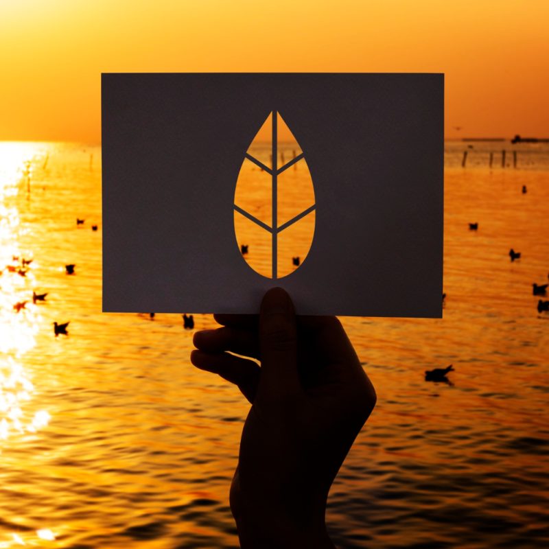 LE POLITICHE DELL'ENERGIA E DEL CLIMA PER 2030