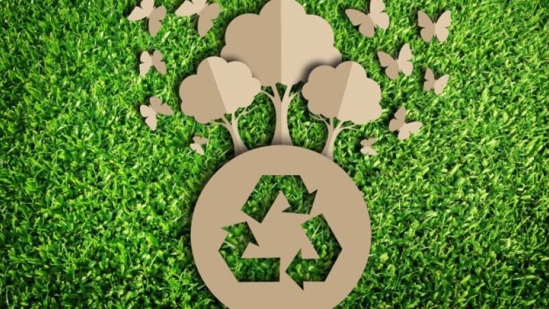 L'UTILIZZO DEI MATERIALI ECOSOSTENIBILI
