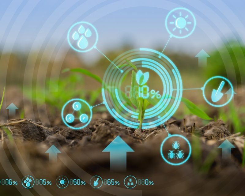 L'AGRICOLTURA DI PRECISIONE PER LA SOSTENIBILITA'