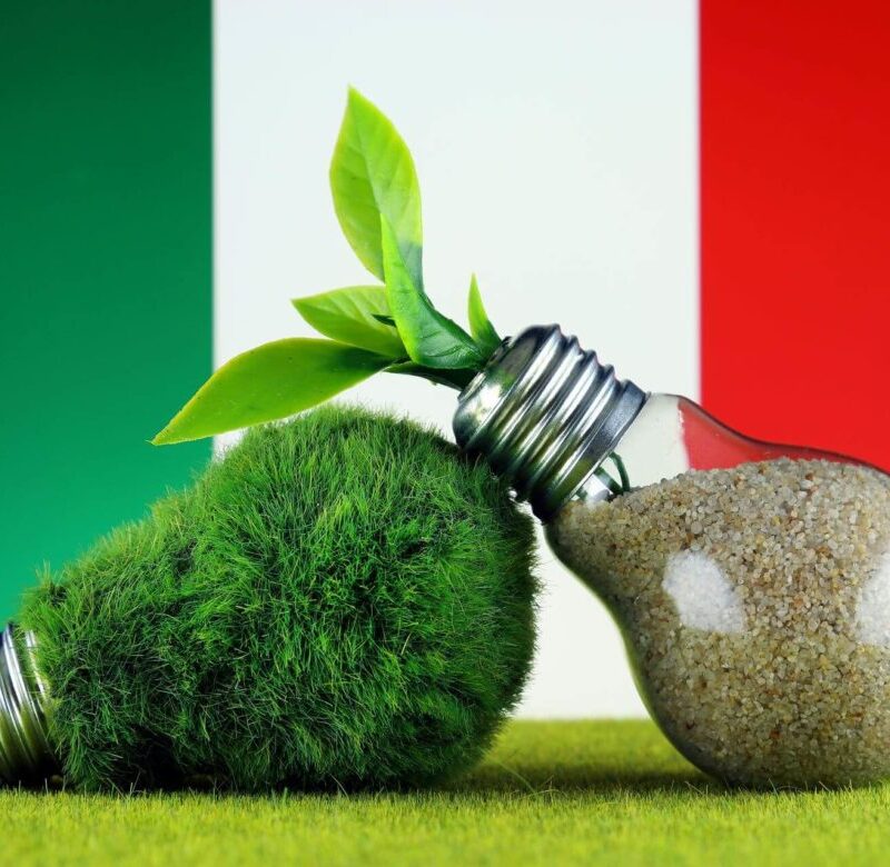 IL PIANO NAZIONALE INTEGRATO PER L'ENERGIA E IL CLIMA