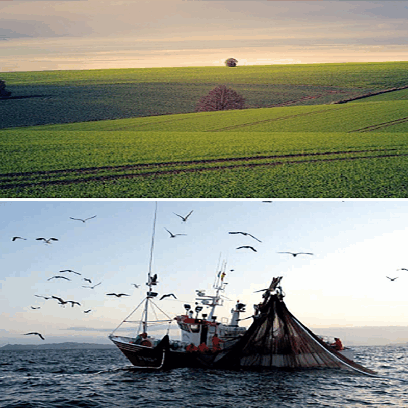 RSPP/ASPP - MODULO B - SP1 (AGRICOLTURA)