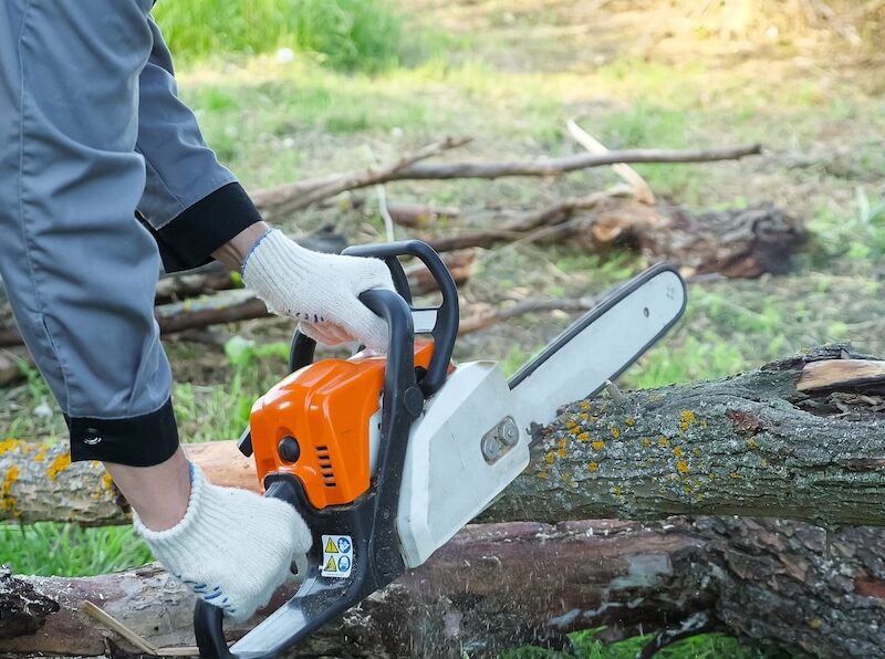 ADDETTO ALL'USO IN SICUREZZA DELLA MOTOSEGA