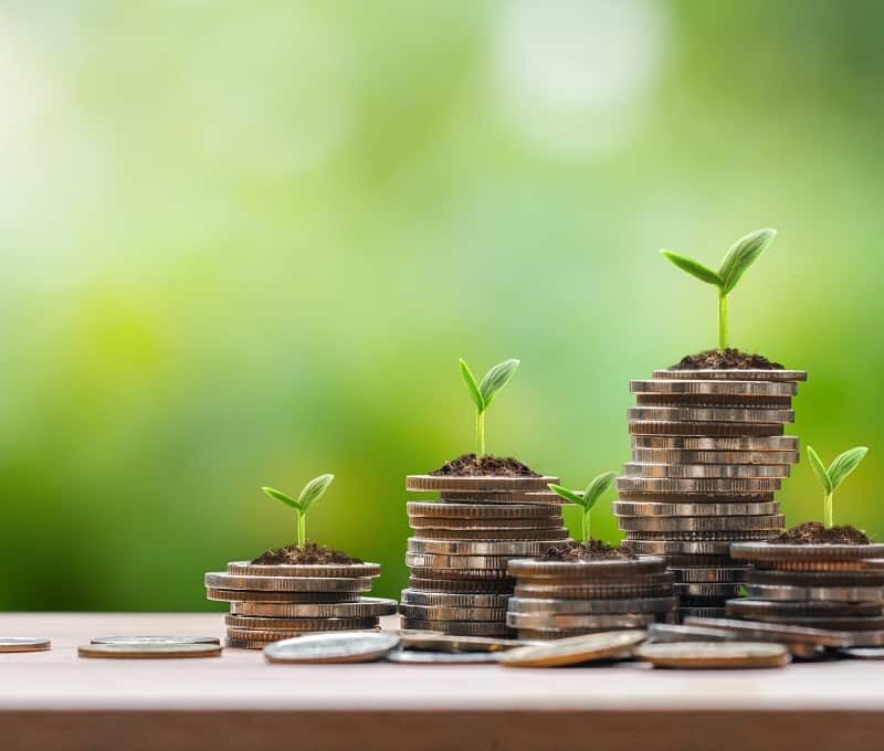 FINANZA E CREDITO SOSTENIBILI