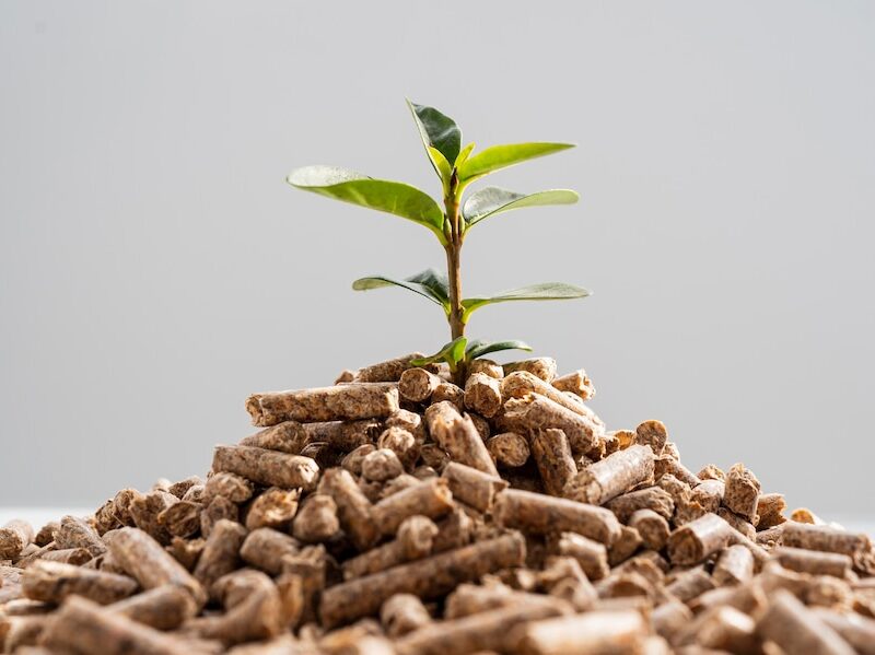 L'USO DELLA BIOMASSA COME FONTE DI ENERGIA ALTERNATIVA